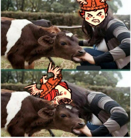 eatingwigrfrid.thumb.png.2d7aa1ccfa3f5a5fbd827c8608128425.png