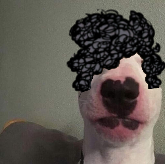 0b9c6a429b8f8ce671d7aac7608506ac6d40f744r1-1242-1234v2_hq (1).png