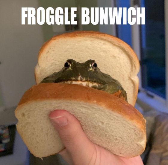 1722045166_Frogglebunwich2.thumb.png.3d7074c0830b95ba1d2db2bb55d13977.png