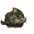 2f78352450d50c38.gif.ed14ed77d160716fb2b54fbf06527d9c.gif
