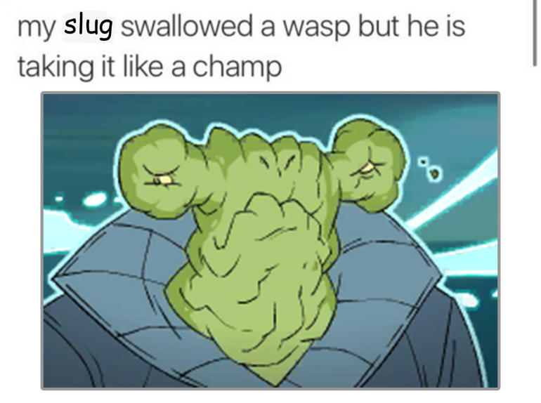 995221274_myslugswallowedabee.thumb.png.989d486df4bff64d06ca74992e8ec197.png