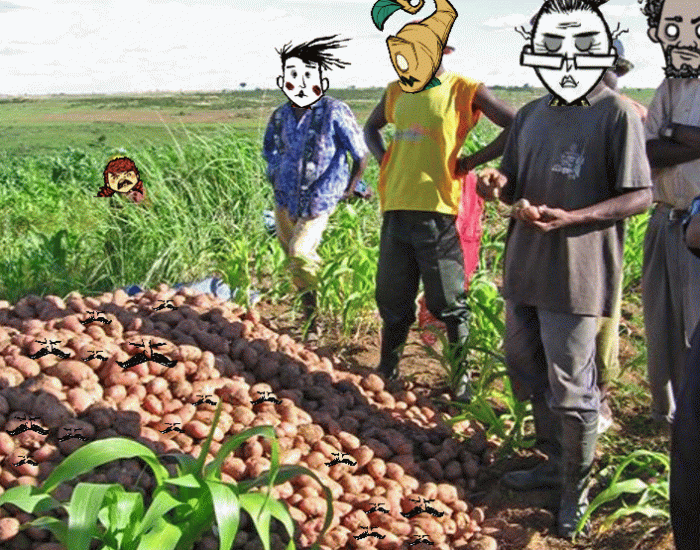 external-content.duckduckgo_com.thumb.gif.e63c11b3401bb1e5184058641cd7e844.gif