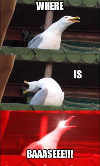 mem.jpg