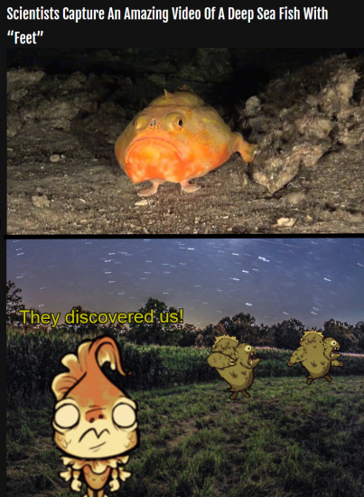 mermdiscovery.thumb.png.2211ad5343fba7a17349e115f516f7d0.png