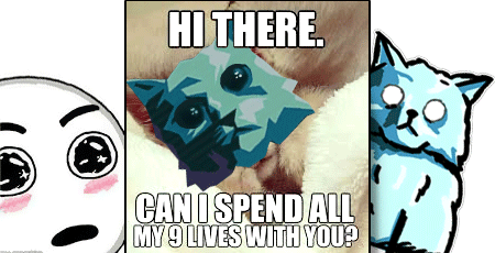 hi-there-shop-cat.png.8ae0041f806e368328d89627da86bae1.png