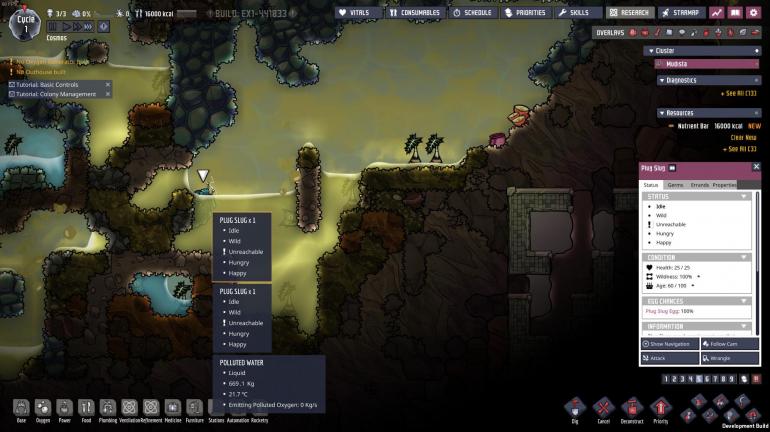 1. stuck slugs.jpg
