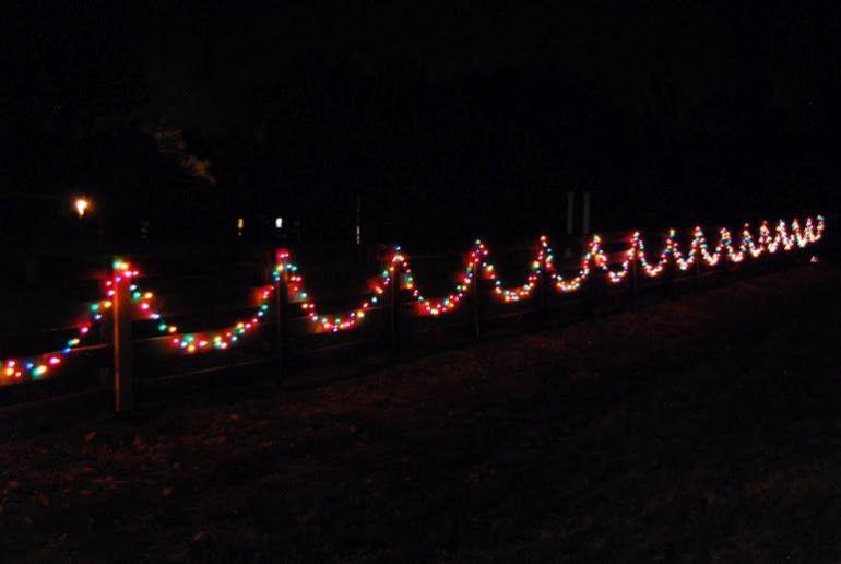 314397695_FestiveFence.thumb.jpg.7b997d88e623bc9eac5f6969ed20592b.jpg