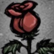 vantarose