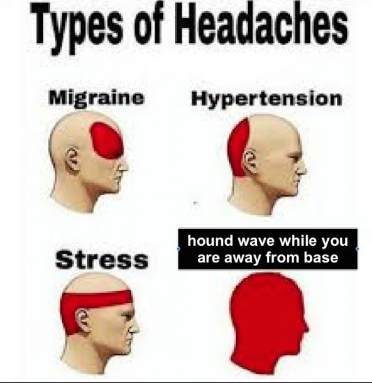 hounds2.png