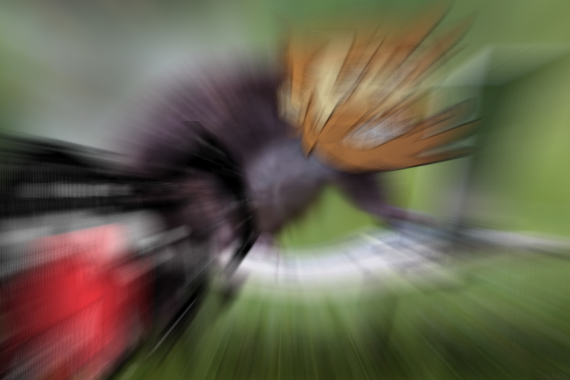 image.png.c604899c8df2dd639d13ca40ecfa3153.png