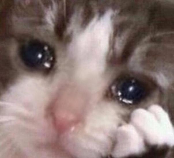 sad-cat-63.jpg