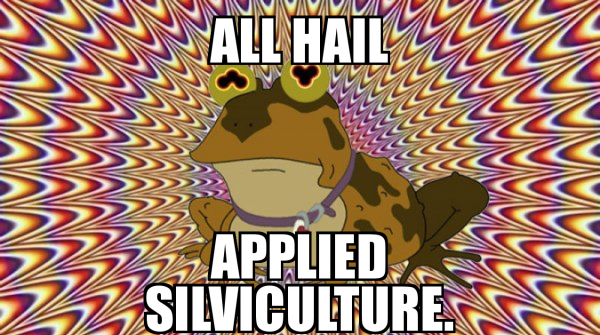 896220886_AllHailAppliedSilviculture.png.128d3597895aa05c63519ecfbef543cc.png