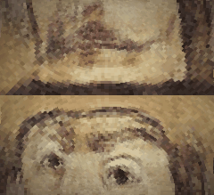 MOSHED-2020-11-27-13-42-43.gif.51541649600da1383c57d71be96f4af2.gif
