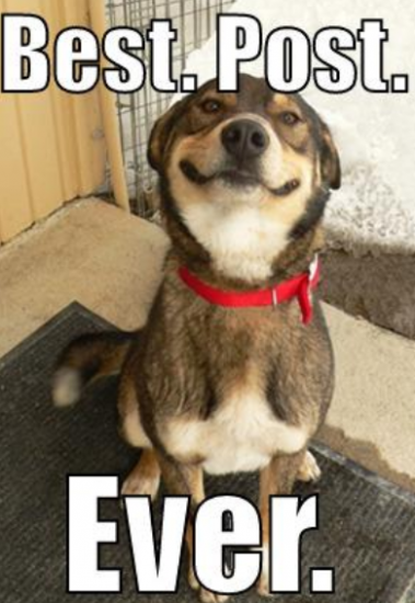 image.thumb.png.00e3eea87ca5f6432115599375d2134e.png