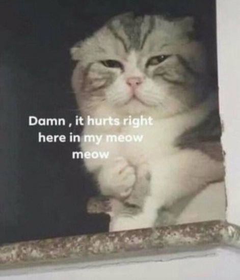 image.thumb.png.dded80d6e1c61ebeb2af4fff87a11d5c.png