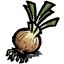 Onion.png.bd6e0eee384d24a2542d492216722404.png