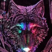 WolfenDrakken