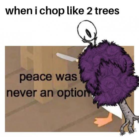 nope.jpg