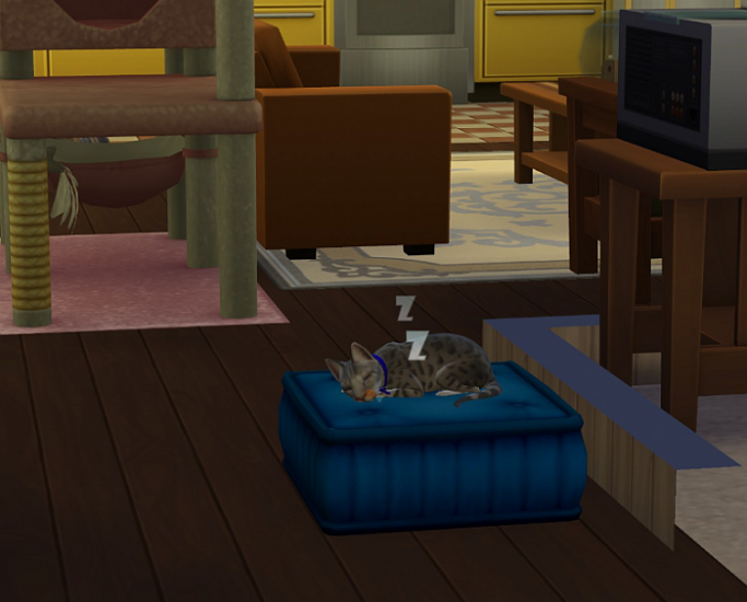 simkitties3.thumb.png.503cc31a5d46c0fe51c66d145dad0438.png