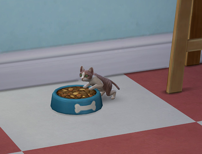 simkitties5.png.ef883b8435dd49f7cd7a79f52bcc67ef.png