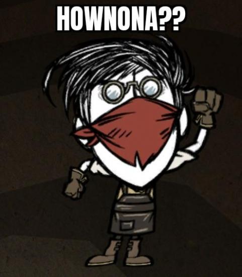 hownona.thumb.jpg.bffa908f7eeb9b276cf07f3be0fccbd7.jpg
