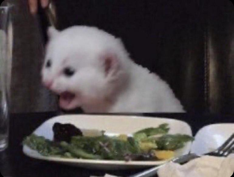 image0.png