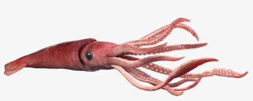 image.png.b729b395930119ec9a96f0df0e828ff3.png