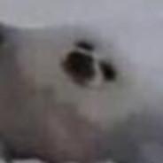 cigatioustome