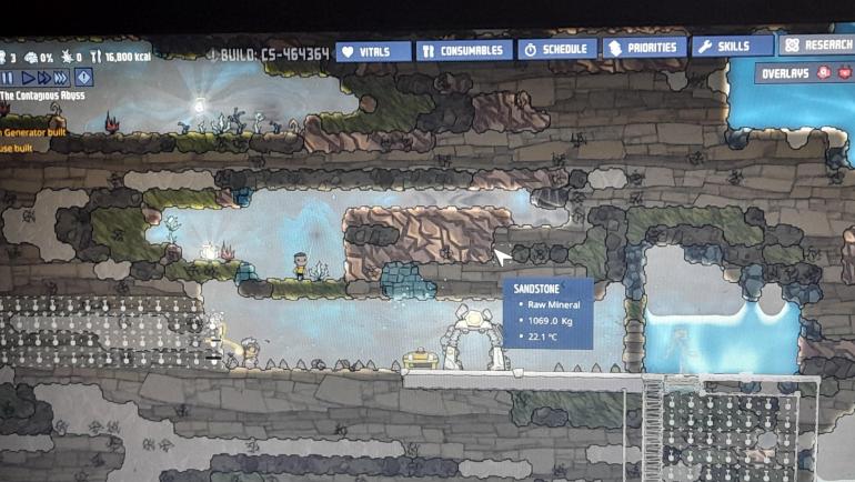 dupe in stupid place.jpg