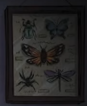 image.png.6116cf7a9166174fa44b3d4efd3c47db.png