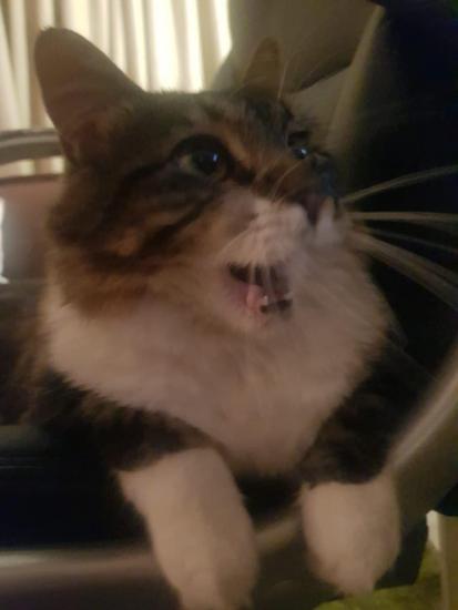 sfdsdfsdfsdfdfsdfssfddfsfdssdf.thumb.jpg.be3c8028275d43ab9be8b697372b2fe3.jpg