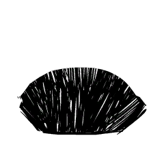 wilson_hair_hat.png.029b84f02ae9193120447dc1b4fa6e42.png