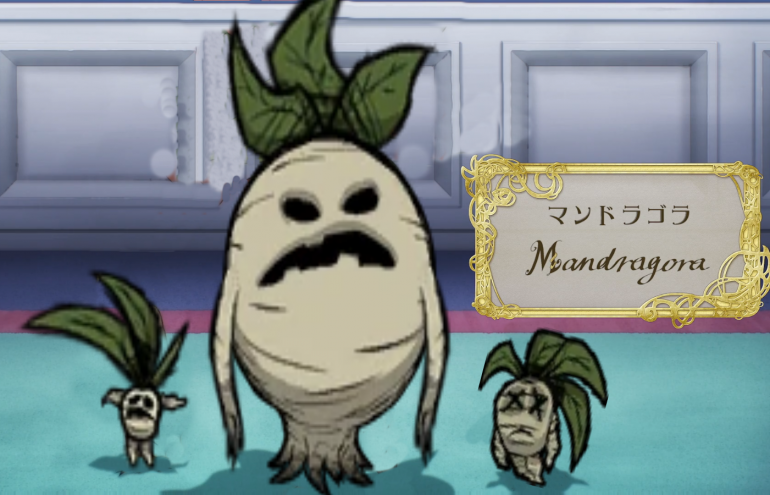 um.png