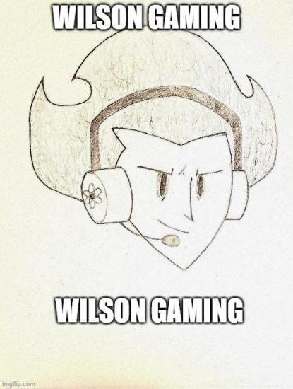 Wilson Gaming.jpg