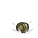 cointoss.gif.682620a65a0742b6f038b18560674b33.gif