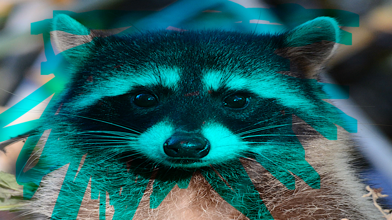 Screenshot (175).png