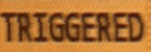 triggered-meme.gif.000730ed0c66882b65dfac0eca21ca7f.gif