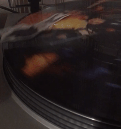 wilrecord.gif.4ad0fa96b641b68b4eac26e4d4fea529.gif