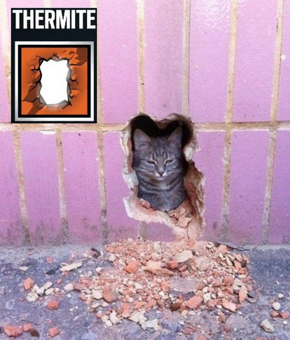 image.png.7150403d872ce98f01246e07e8a3ffef.png