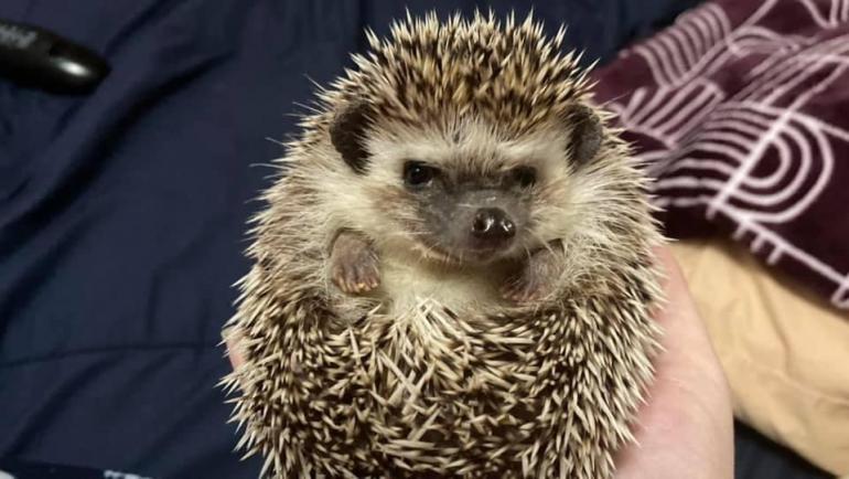 image_6483441 (1).JPG