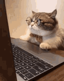 698325E2-B03A-4119-A650-A0961BE229DD.gif.e341415dfb84743d9eb494e6dce5d6d0.gif