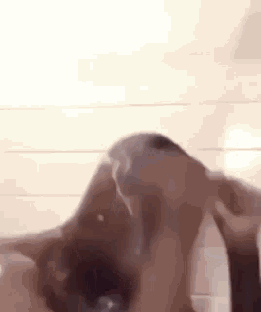 black-man-crying-in-shower.thumb.gif.41dfddf39d5d1477f9844c1b43bf7c58.gif