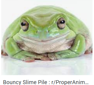 image.png.25daa55779d604632e444d6525d87a3c.png