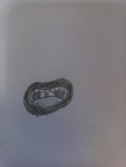 16460285371009024175627608022051.thumb.jpg.aa3561f4d858649254400afadd02a5dd.jpg