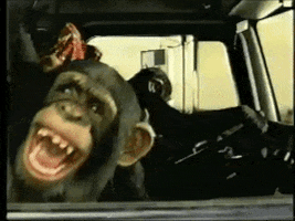 219439815_200(7).gif.2d0d705444971f3f6496ab365cf07eec.gif