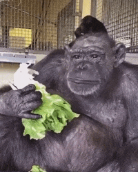563550_200w(2).gif.dd58f2c9e3fa8ec1c084faa4aef90946.gif
