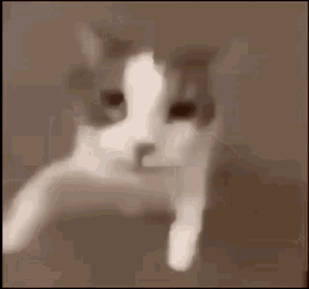 cat-kiss.thumb.gif.8c40cf76ca47e7be0eb6d15bd801464f.gif