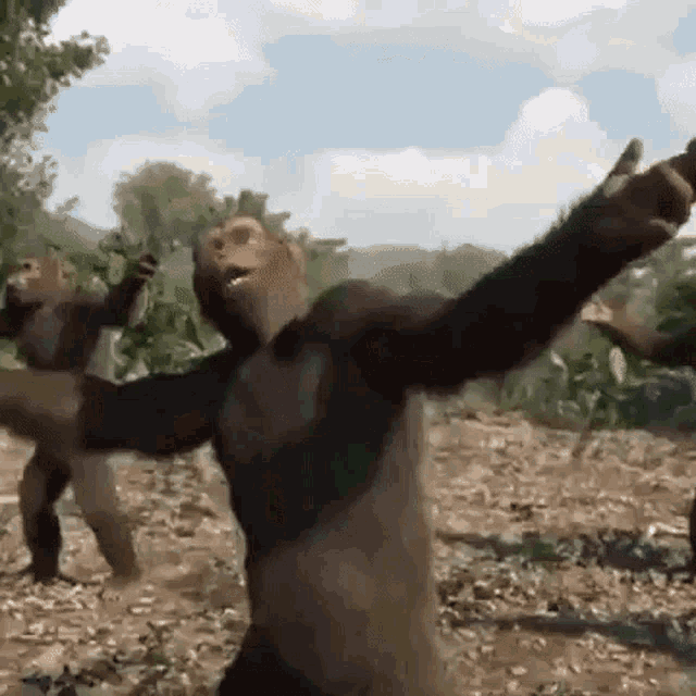monkey-dance.thumb.gif.f43c79e96f1149cbac6219abeb543f66.gif