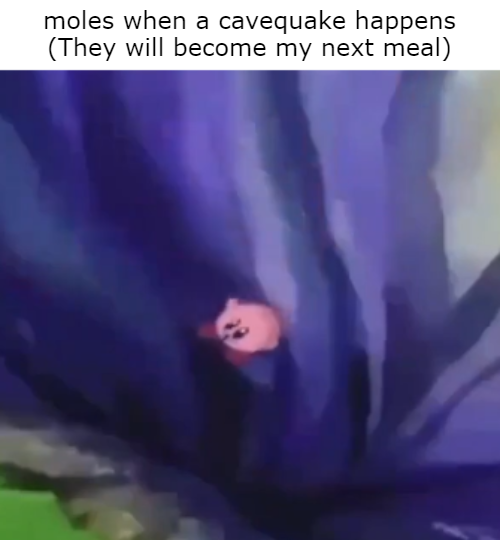 image.png.fd52694fc52fe887d091bb5d2c5bbe4f.png