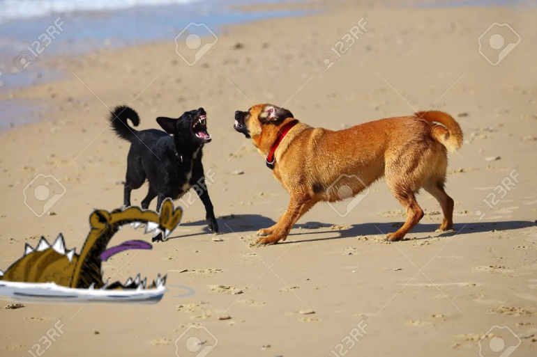 um.png